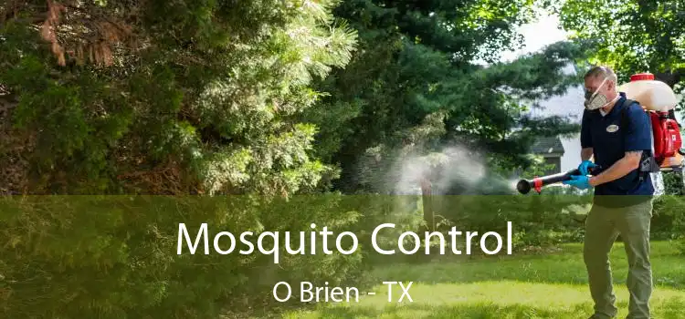  Mosquito Control O Brien - TX