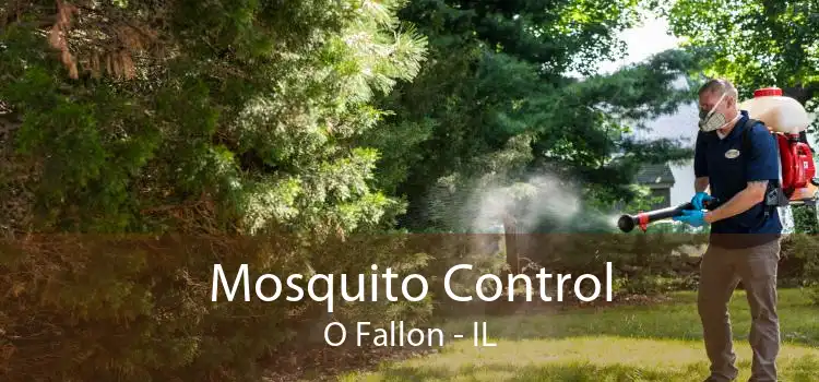 Mosquito Control O Fallon - IL