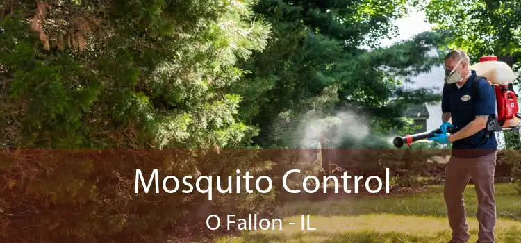  Mosquito Control O Fallon - IL