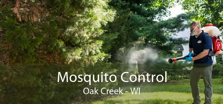 Mosquito Control Oak Creek - WI