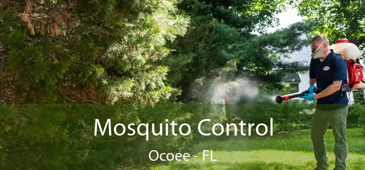  Mosquito Control Ocoee - FL