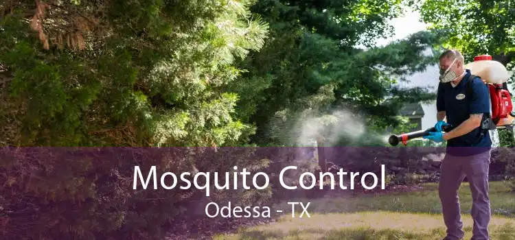 Mosquito Control Odessa - TX