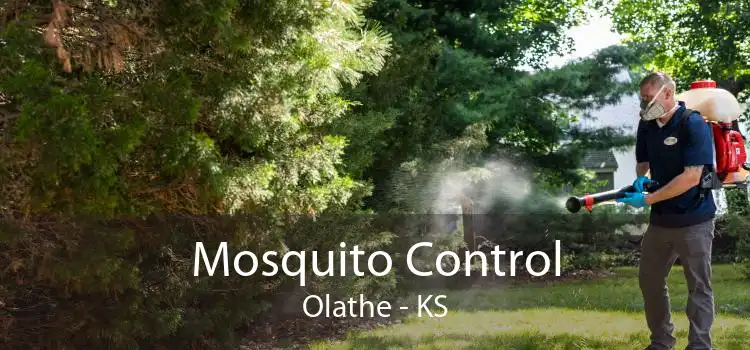 Mosquito Control Olathe - KS