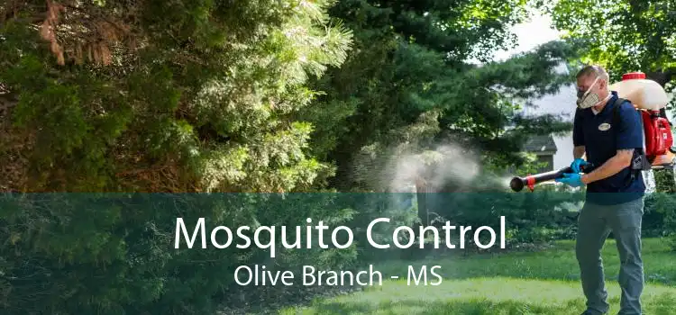 Mosquito Control Olive Branch - MS