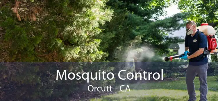 Mosquito Control Orcutt - CA
