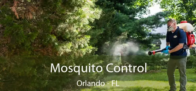  Mosquito Control Orlando - FL