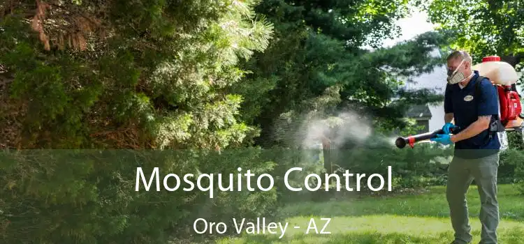 Mosquito Control Oro Valley - AZ