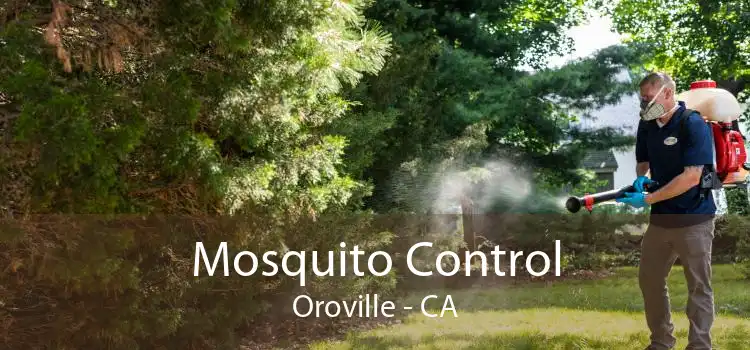 Mosquito Control Oroville - CA