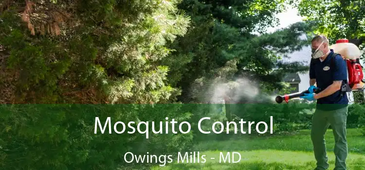  Mosquito Control Owings Mills - MD