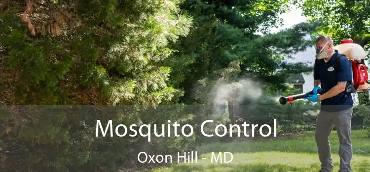 Mosquito Control Oxon Hill - MD