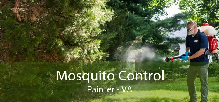 Mosquito Control Painter - VA