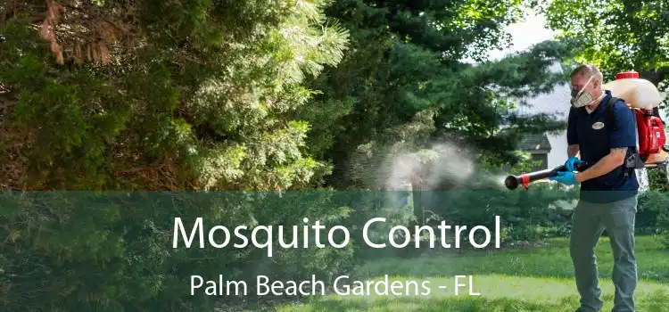  Mosquito Control Palm Beach Gardens - FL