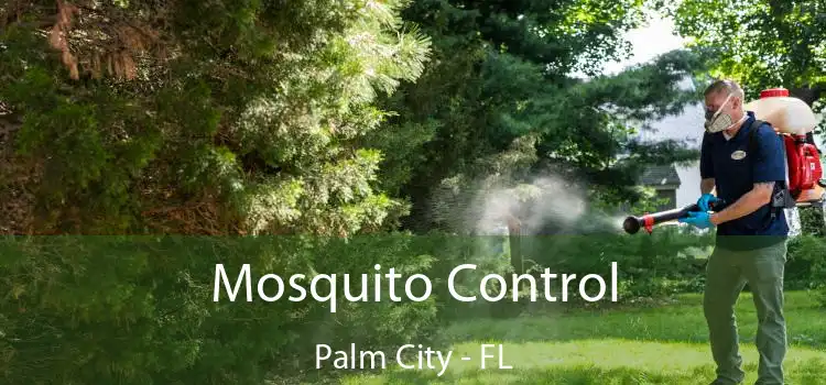  Mosquito Control Palm City - FL