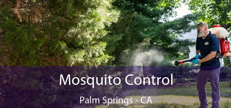  Mosquito Control Palm Springs - CA