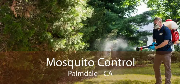 Mosquito Control Palmdale - CA