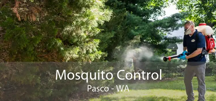 Mosquito Control Pasco - WA