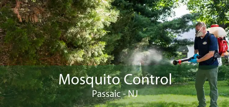 Mosquito Control Passaic - NJ