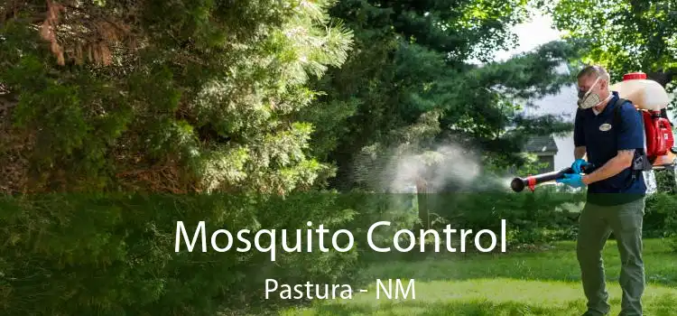  Mosquito Control Pastura - NM