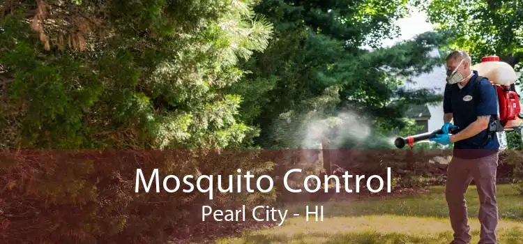 Mosquito Control Pearl City - HI