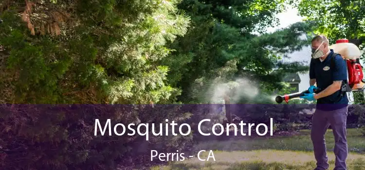  Mosquito Control Perris - CA