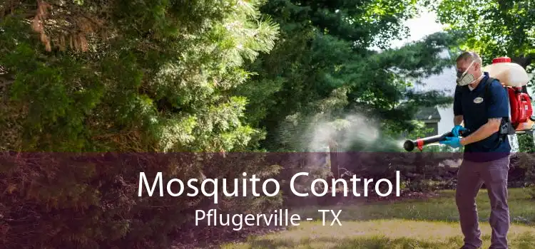 Mosquito Control Pflugerville - TX
