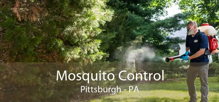 Mosquito Control Pittsburgh - PA