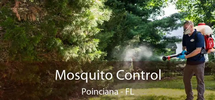  Mosquito Control Poinciana - FL