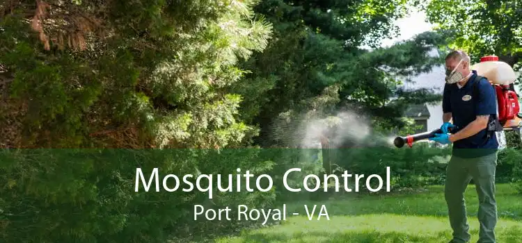 Mosquito Control Port Royal - VA