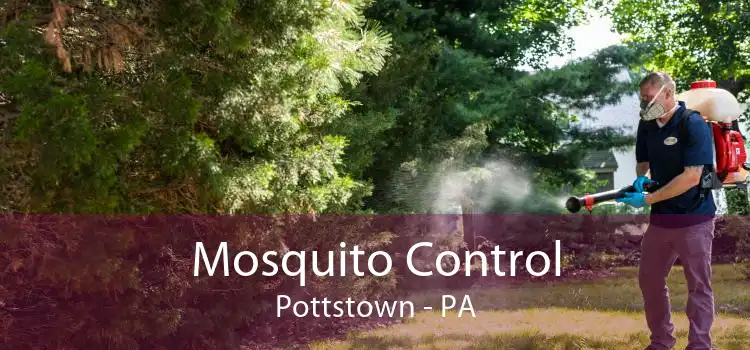 Mosquito Control Pottstown - PA