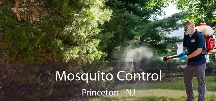  Mosquito Control Princeton - NJ