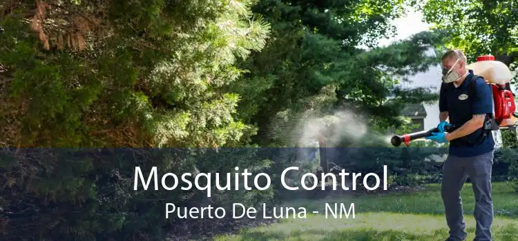 Mosquito Control Puerto De Luna - NM