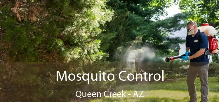  Mosquito Control Queen Creek - AZ