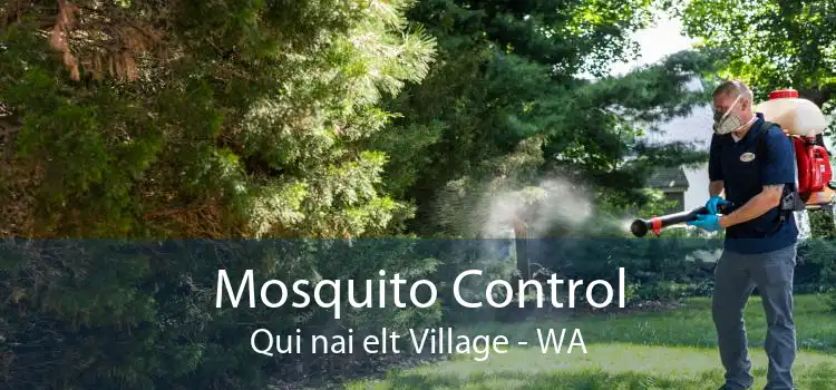 Mosquito Control Qui nai elt Village - WA