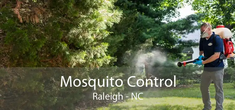 Mosquito Control Raleigh - NC