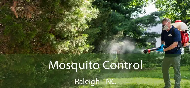  Mosquito Control Raleigh - NC