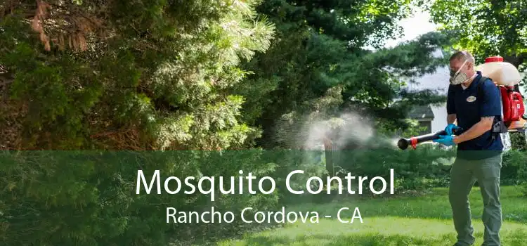 Mosquito Control Rancho Cordova - CA