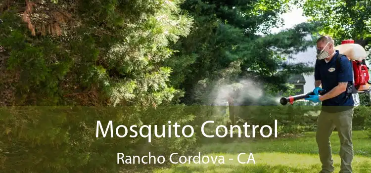  Mosquito Control Rancho Cordova - CA