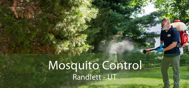 Mosquito Control Randlett - UT