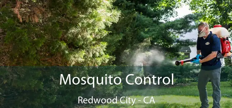  Mosquito Control Redwood City - CA