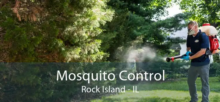 Mosquito Control Rock Island - IL