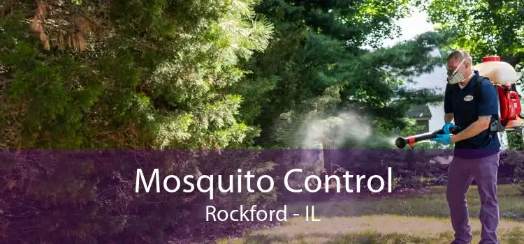 Mosquito Control Rockford - IL