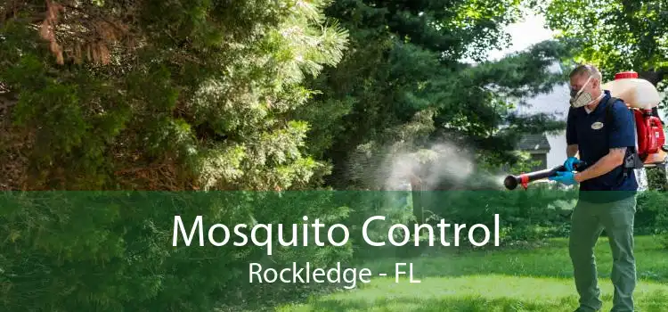 Mosquito Control Rockledge - FL