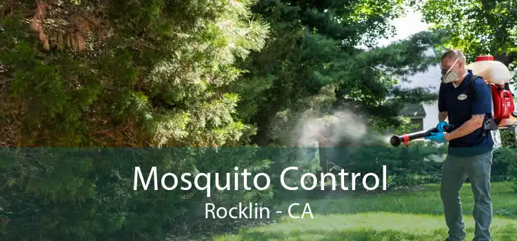 Mosquito Control Rocklin - CA