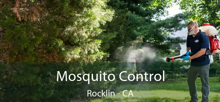  Mosquito Control Rocklin - CA