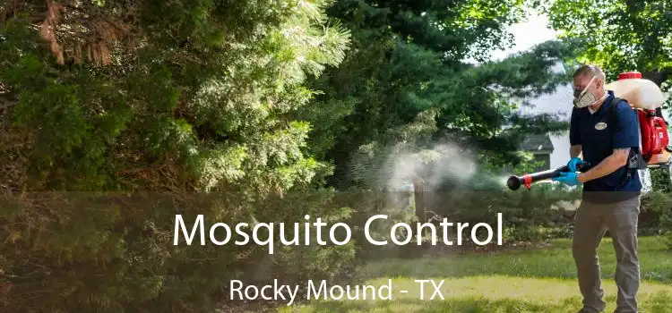  Mosquito Control Rocky Mound - TX