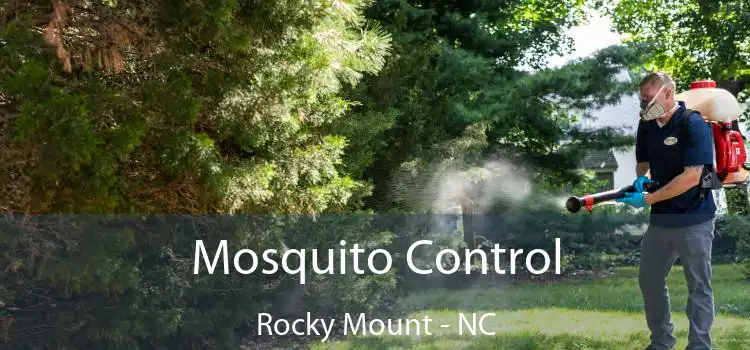  Mosquito Control Rocky Mount - NC