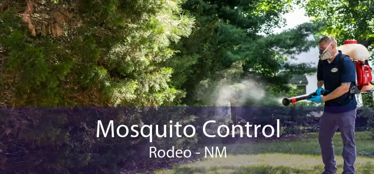 Mosquito Control Rodeo - NM