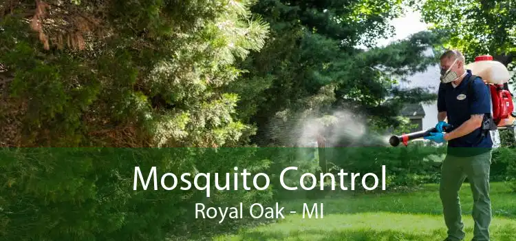 Mosquito Control Royal Oak - MI