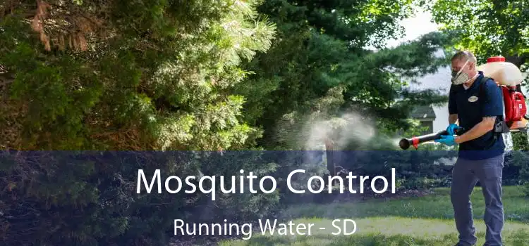  Mosquito Control Running Water - SD