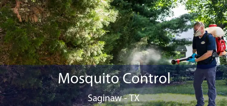 Mosquito Control Saginaw - TX